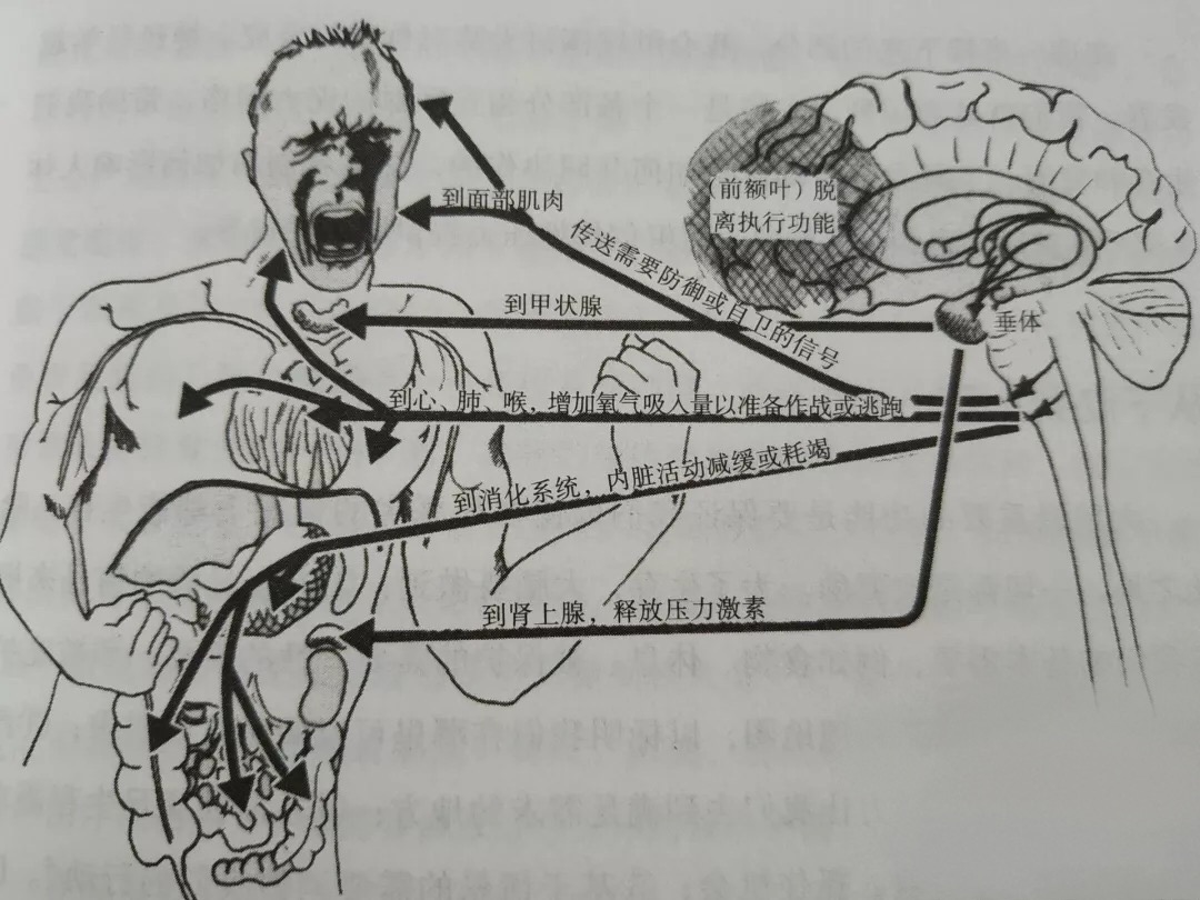 為什么“過去”難以真正過去！4種方式應對創(chuàng)傷