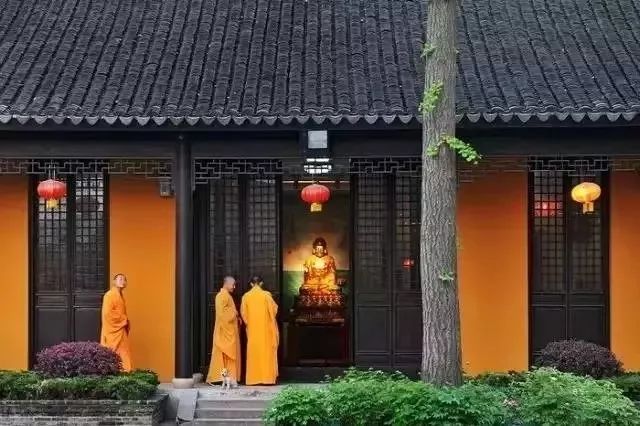 躲開咬人狗，遠(yuǎn)離垃圾人！