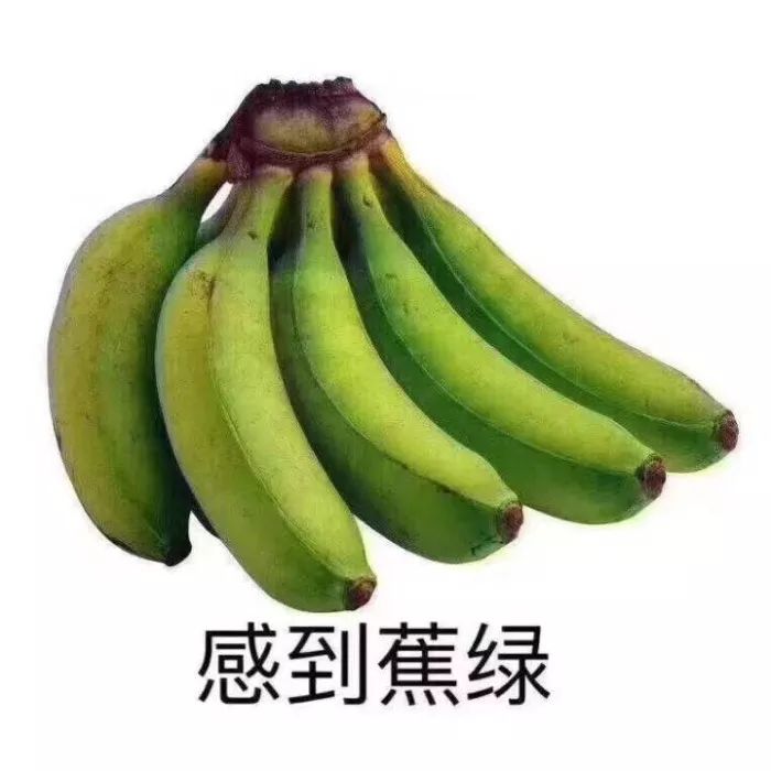 兒子考98分家長患抑郁癥，越控制孩子越失控