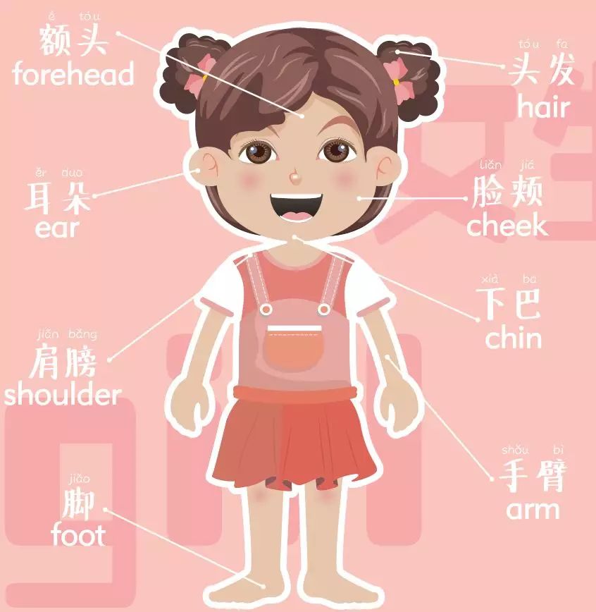 兒童性教育、安全教育如何啟蒙？