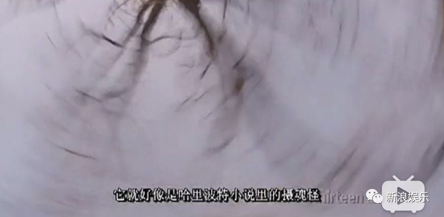 抑郁癥到底有多可怕？