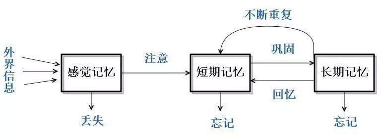 背書總是忘？記憶心理學(xué)教你好方法！