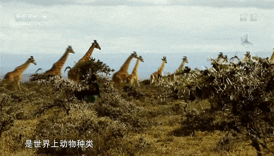 上學到底為了什么？這群孩子用生命回答這個問題
