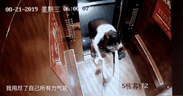蔣勁夫威脅殺死新女友：這三個(gè)忠告，一定要讓你的女兒知道