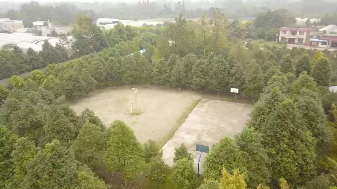 花錢請人虐待自家孩子：不是所有人，都配為人父母
