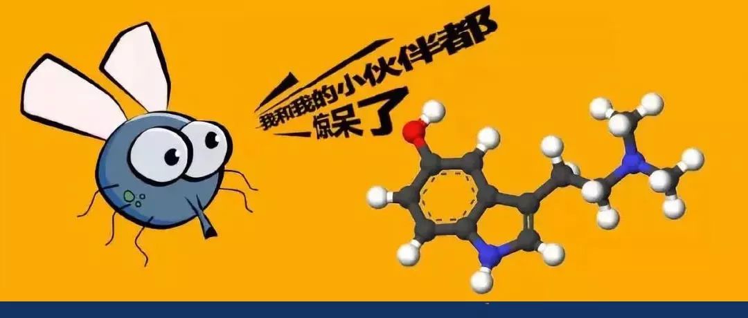受到驚嚇時(shí)，我們?yōu)槭裁磿?huì)僵住不動(dòng)？