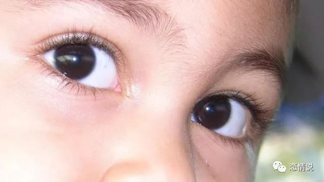 圖中哪一雙眼睛最迷人？測有沒有異性在暗戀你