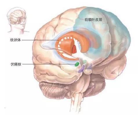 新年慈悲心：接受自己是實(shí)現(xiàn)新年愿望的關(guān)鍵所在
