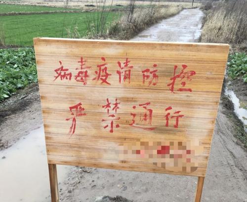面對新型肺炎疫情，心理上如何找到好的快樂方式