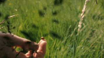 越刷手機(jī)越害怕，越害怕越想刷是一種心理應(yīng)激反應(yīng)