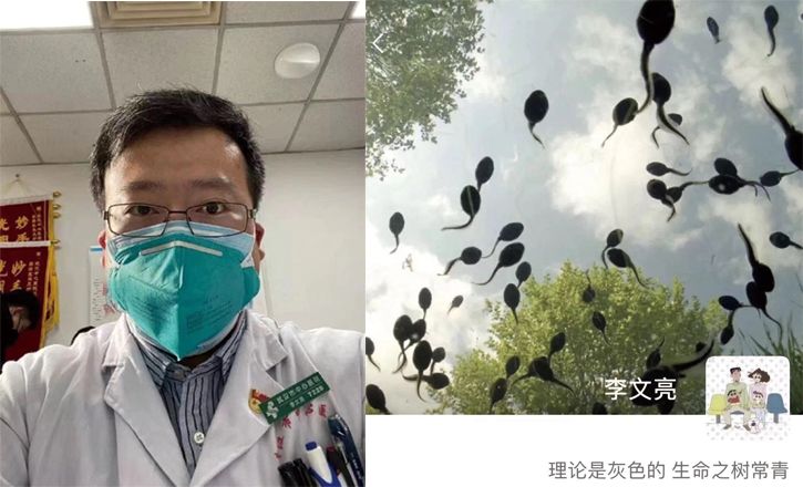 瞞報(bào)、病恥、污名化：什么才是疫情中的英雄主義？
