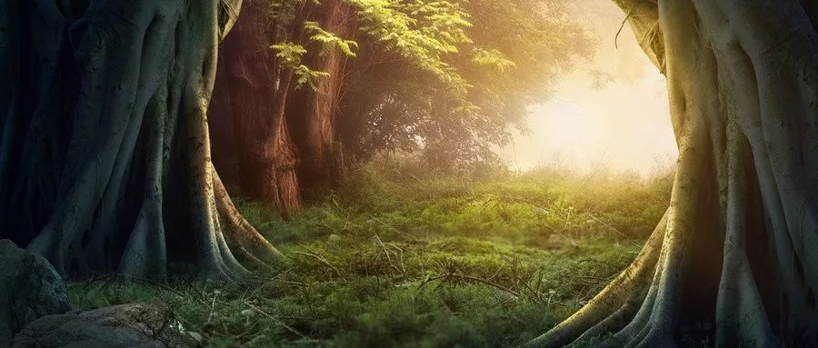 當(dāng)我們害怕死亡時(shí)，到底在怕什么？