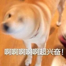 聽說過躁郁癥嗎：情緒上的致命過山車