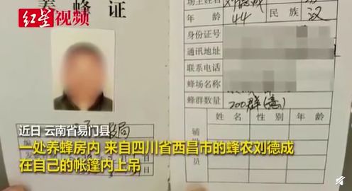 女孩無手機上網(wǎng)課自殺？你沒窮過，你真的不懂
