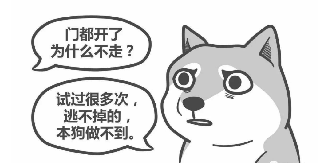 和父母說話，是世界上最可怕的事