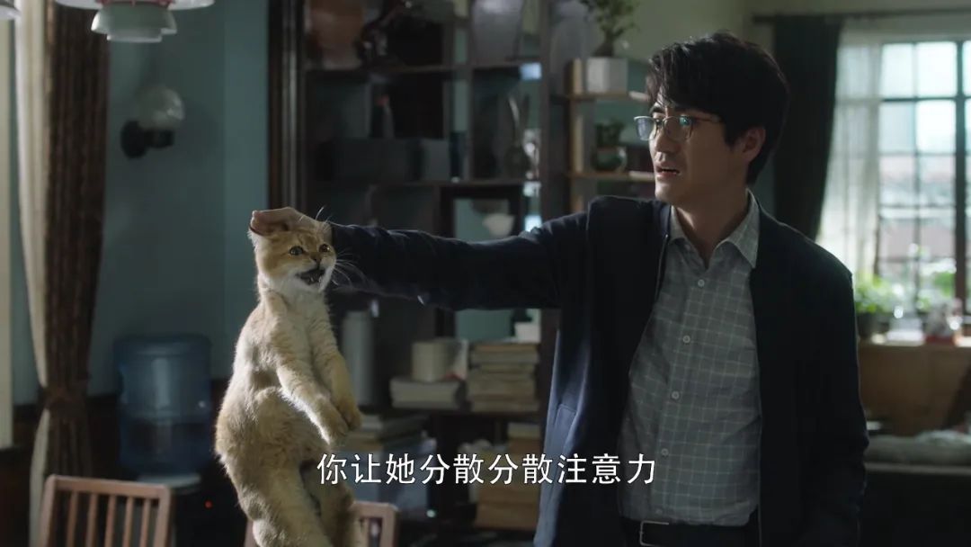 《三十而已》：千萬(wàn)不要和這3種男生結(jié)婚