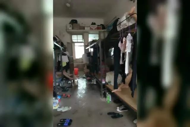 男人來自地球，女人來自地球：兩性差異的本質(zhì)