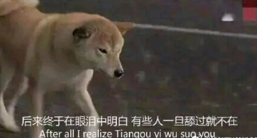 張愛玲那么懂感情，為什么一生愛得那么卑微？