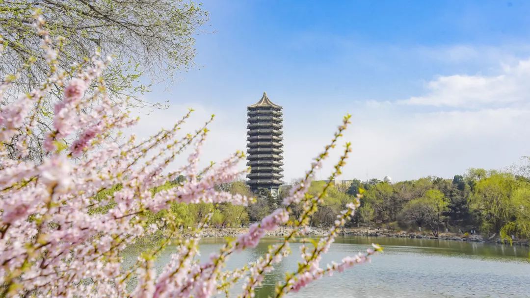 你真的做到大學新生的“自主性”了嗎？