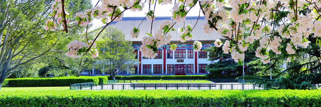 大一新生綜合癥，新生心理適應(yīng)你準備好了嗎？