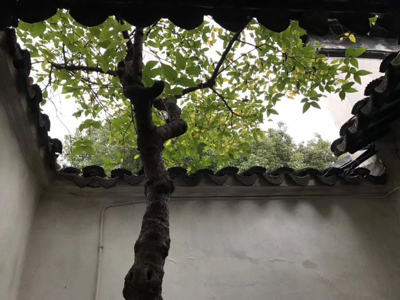 心理學(xué)隱喻小故事，隱喻故事治療的因素