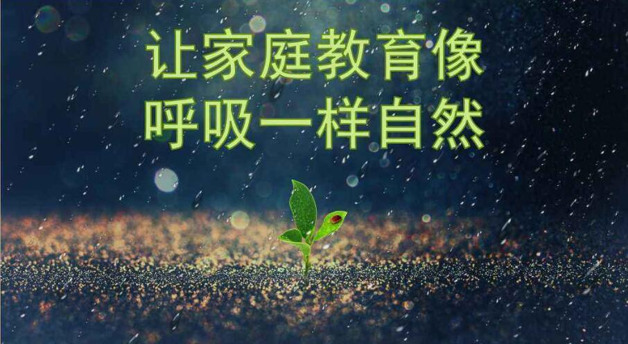 親子沖突案例督導帶給我的意外之喜