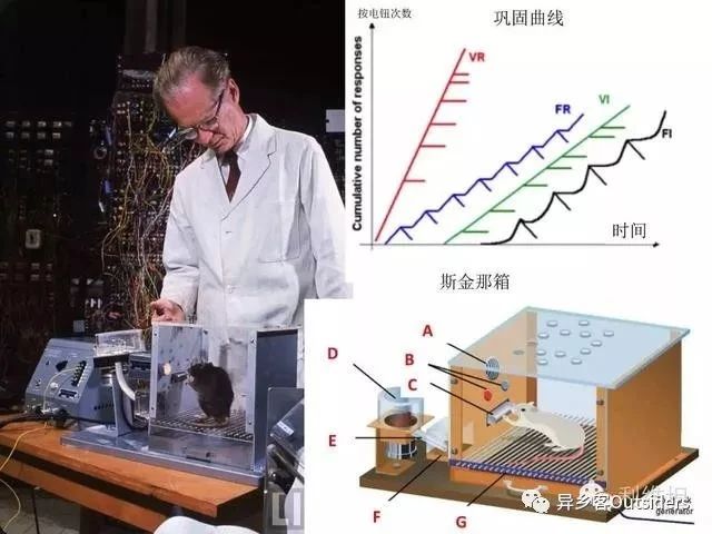 skinner簡介：斯金納的新行為主義論