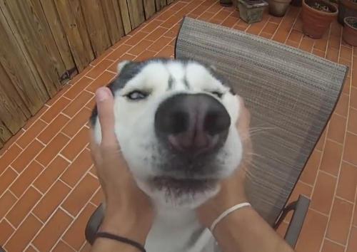 犯賤心理學