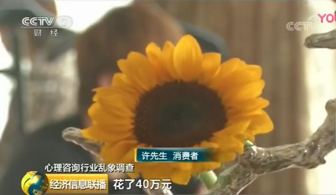 共同維護(hù)心理行業(yè)健康發(fā)展_心理所發(fā)表嚴(yán)正聲明
