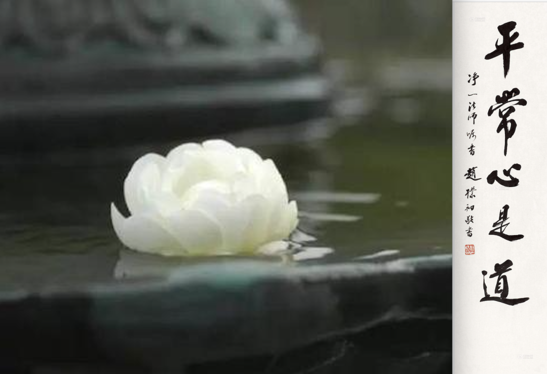 超人、平常心、抑郁癥-關(guān)于生命的意義