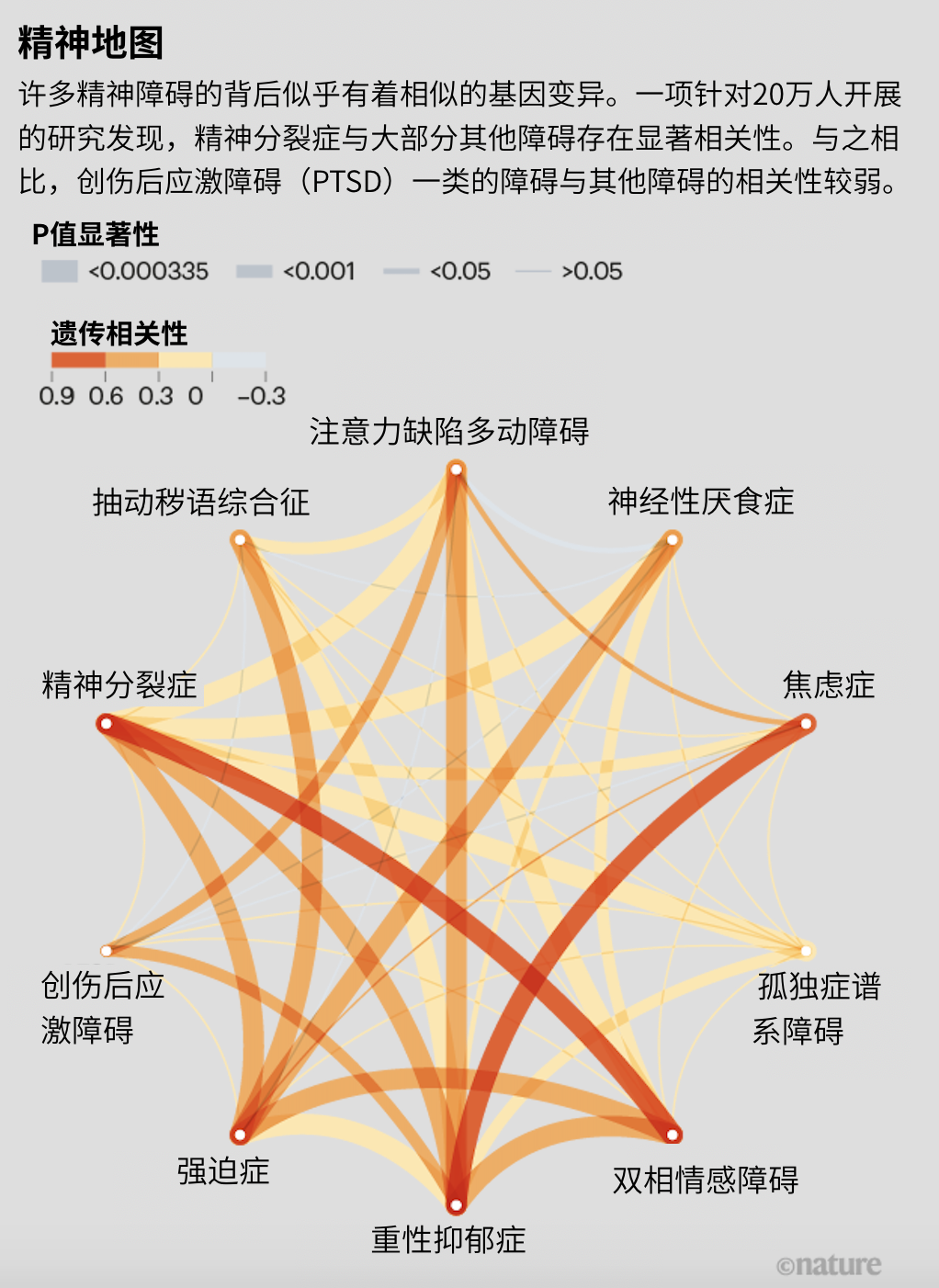 精神障礙之間的隱秘關(guān)系