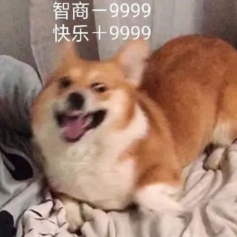 如何正確的找到男朋友？