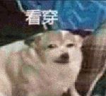 如何正確的找到男朋友？