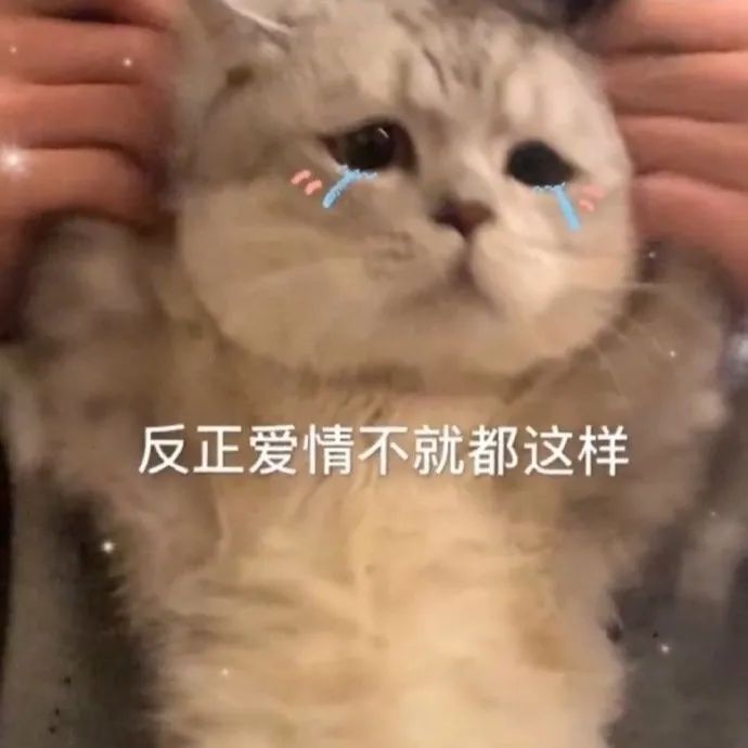 如何正確的找到男朋友？