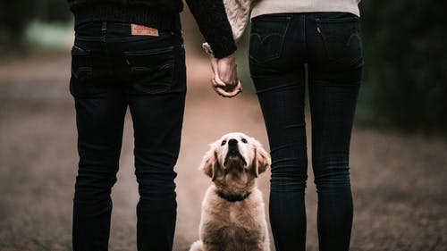 怎么讓他心疼你主動挽回?讓對方主動找你的句子