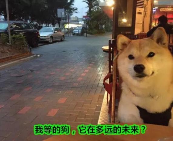 你還單身的原因
