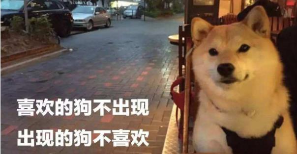 單身狗是怎么形成的