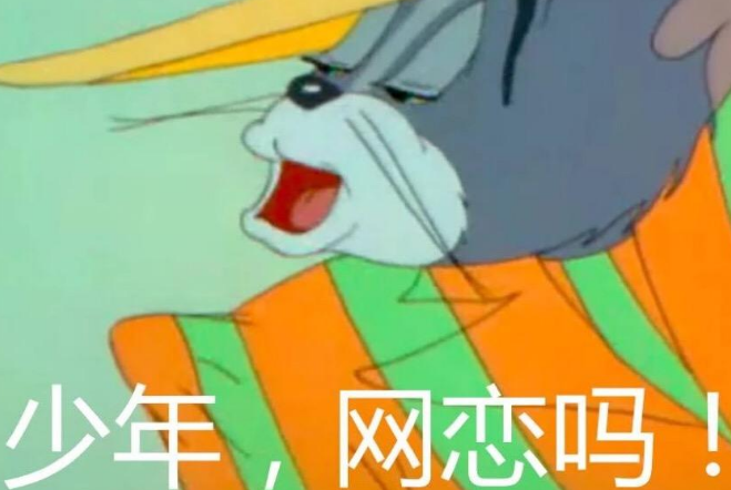 網(wǎng)戀是否靠譜