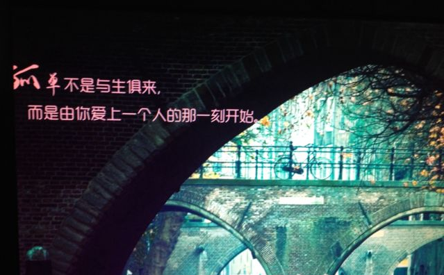 愛一個(gè)人好難