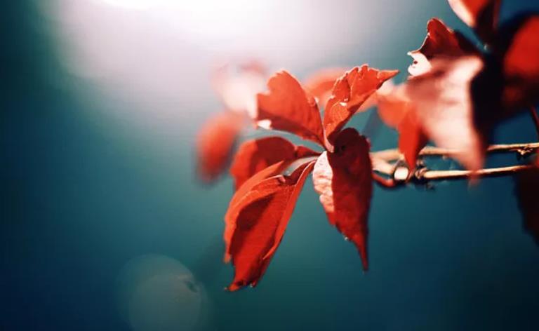 請(qǐng)?jiān)试S情緒流過(guò)身體