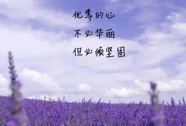 極度自卑的人是一種什么感受