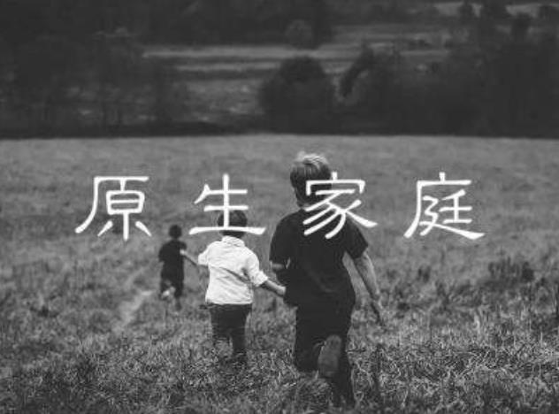 關(guān)于原生家庭的七個階段