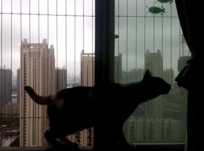 為什么春天更容易抑郁？