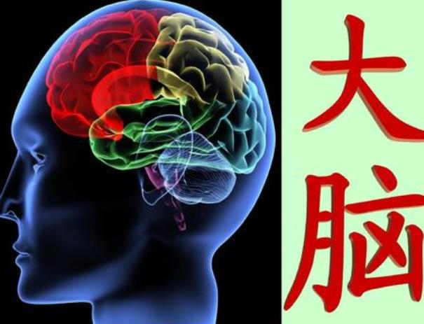 神經可塑性是指什么？