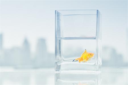 測(cè)試最令你向往的生活是什么