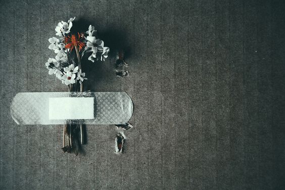 為什么你總是與桃花絕緣呢