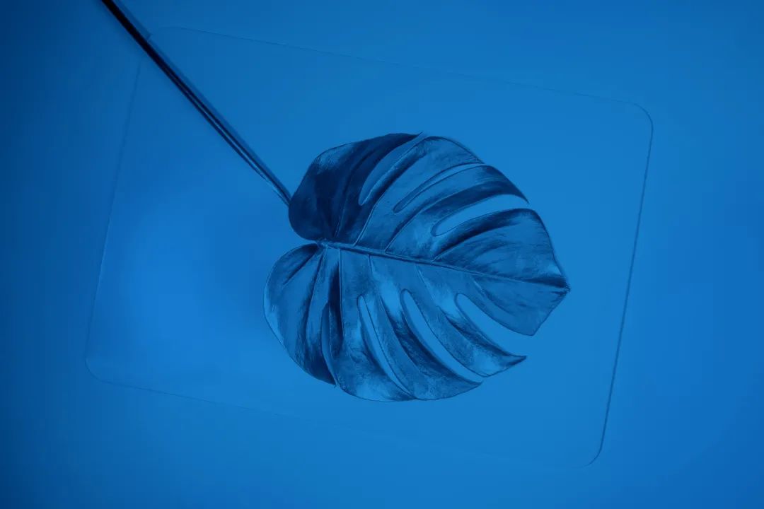 能自己把日子過好，也是種了不起的能力