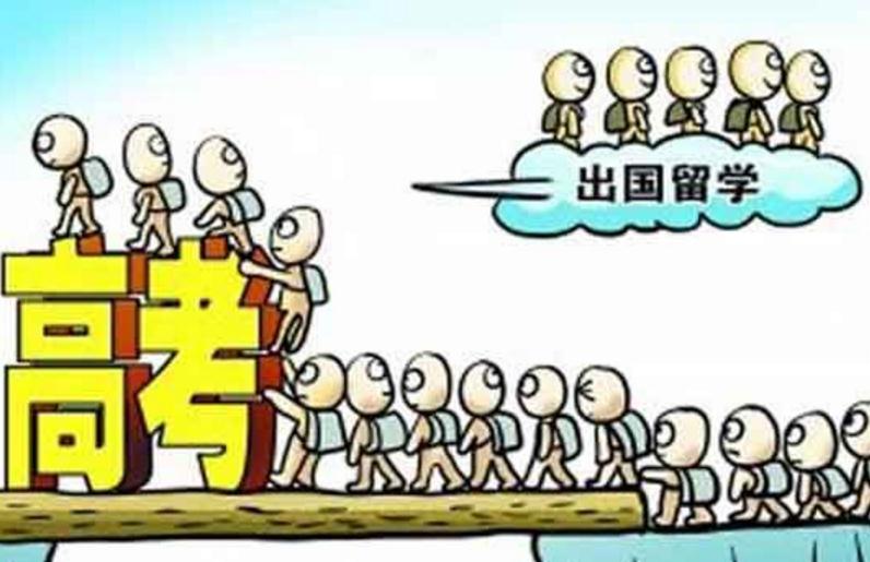 高考沒考上能做什么