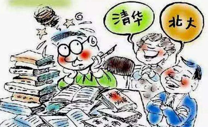 高考沒考上能做什么