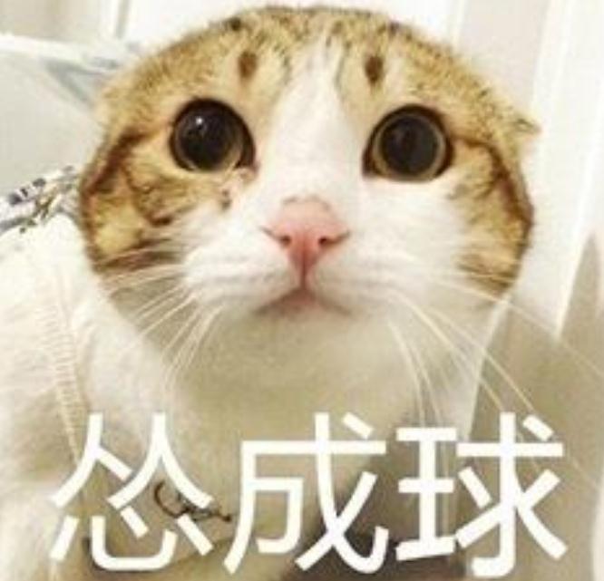 你是一個慫貨嗎？